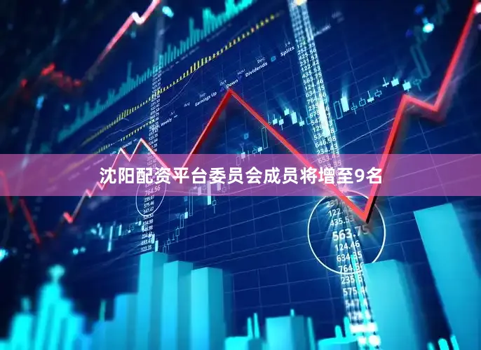 沈阳配资平台委员会成员将增至9名
